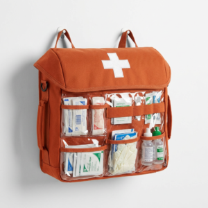 Portable Insulin Travel Case